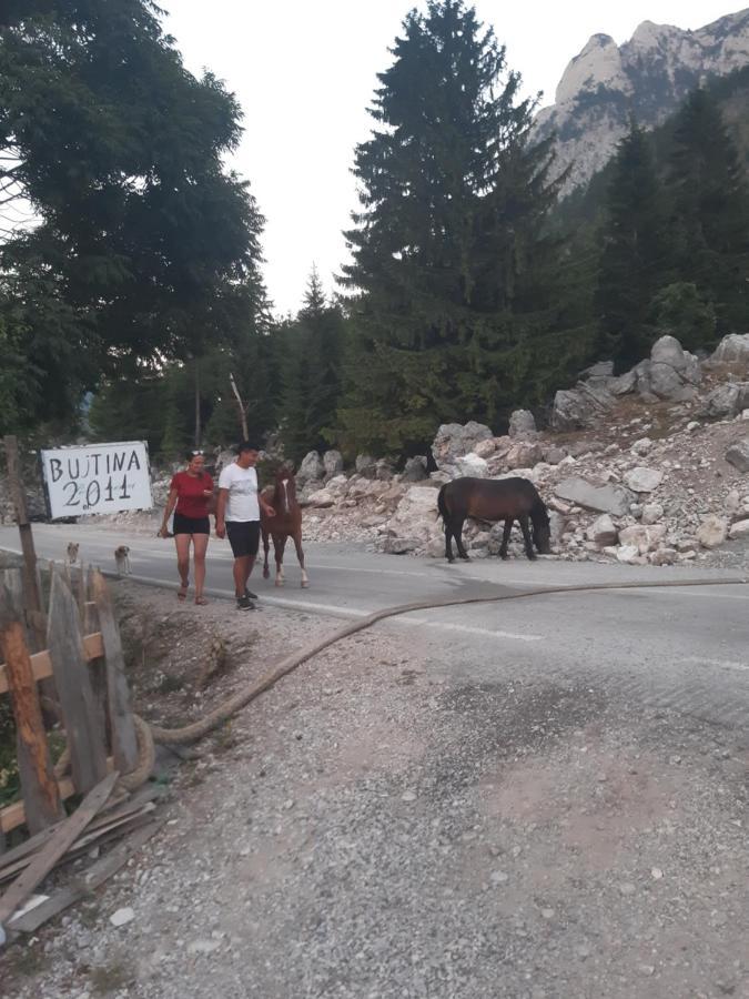 Bujtina 2 Hotell Valbona Exteriör bild