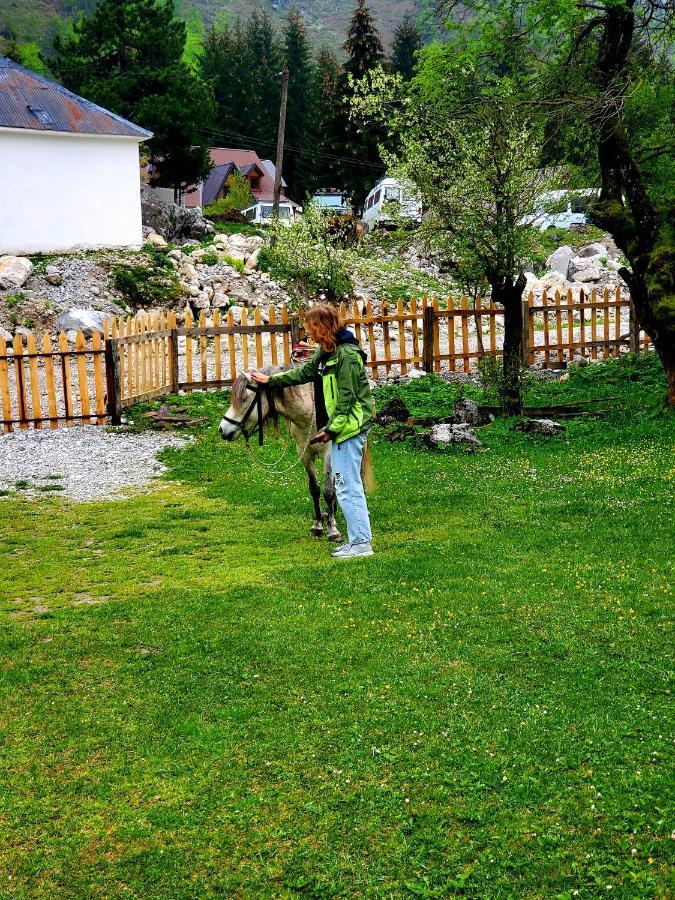 Bujtina 2 Hotell Valbona Exteriör bild